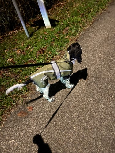 Customer photo review of Active Canis - 2-i-1 Hundejakke, khaki