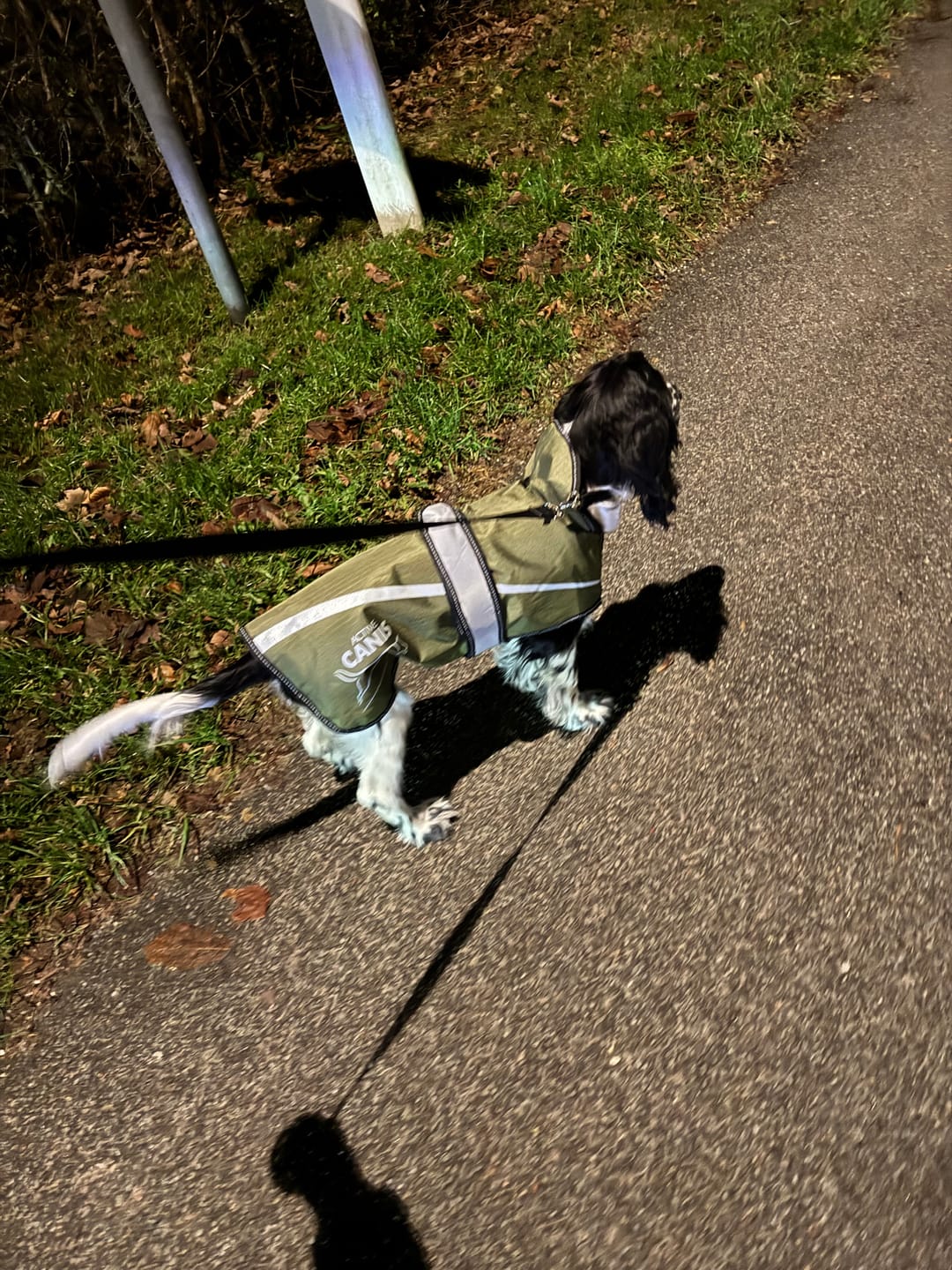 Customer photo review of Active Canis - 2-i-1 Hundejakke, khaki