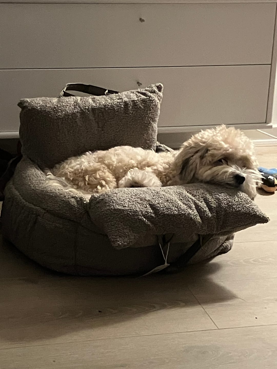 Customer photo review of Staey - Lara 3-i-1 Bilsæde, Teddy