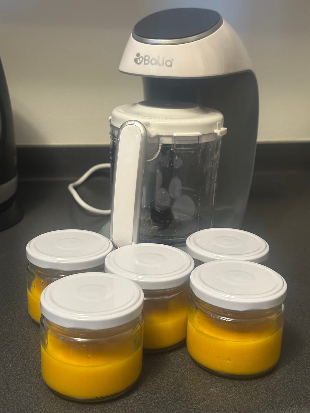 Customer photo review of Procesadora de alimentos Multifuncional