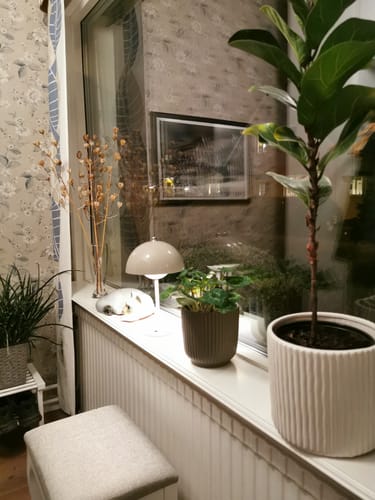 Customer photo review of Bordslampa - Svamplampa Flowerbud - Batteridriven 5000 mAH