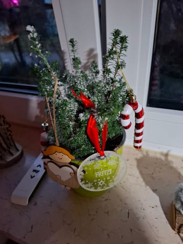 Customer photo review of Weihnachtsdeko mit Schneeflocken