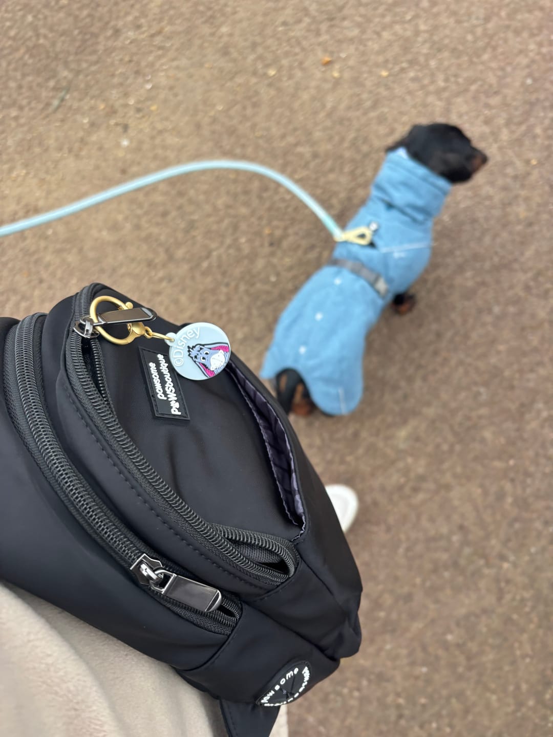 Customer photo review of Sling Backpack - Walkies Ready® Black