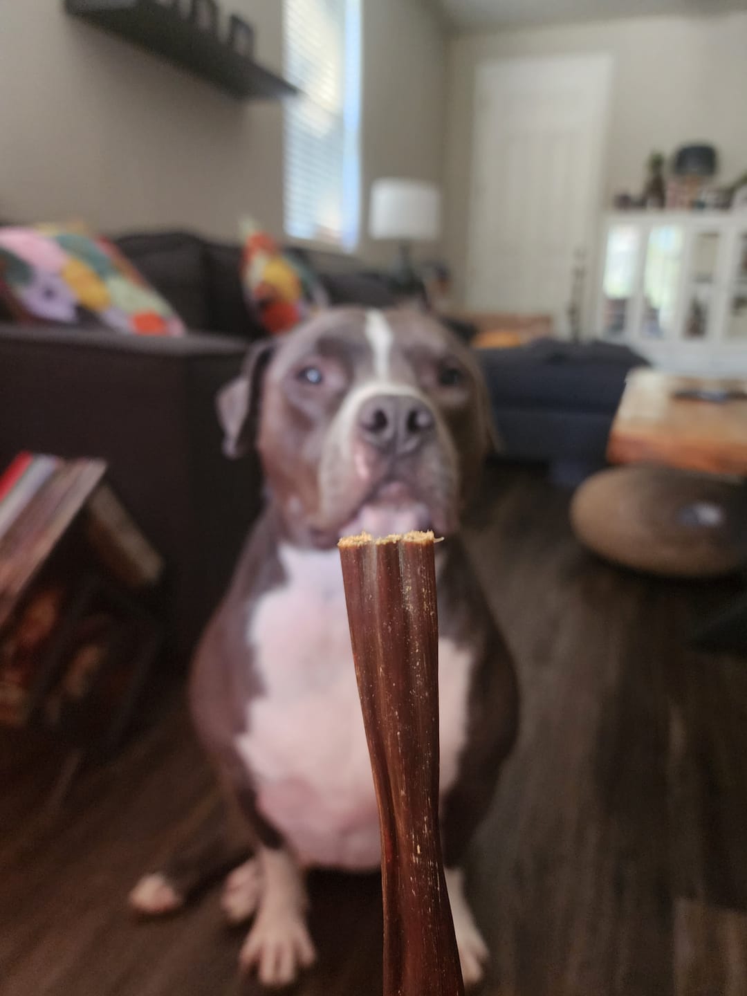 Customer photo review of 6 Inch Beef Jerky Stick