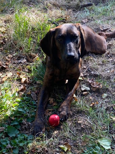 Customer photo review of Relax Time