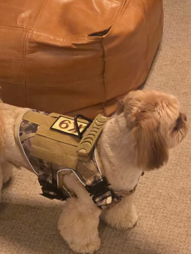 Customer photo review of NEW Upgraded Tactical No-Pull Team K9™ Dog Harness with 4 Quick-Release Metal Buckles, Reinforced Front & Back D-Rings, Hook & Loop Panels, Adjustable Straps, Reflective Strips, & Top Handle