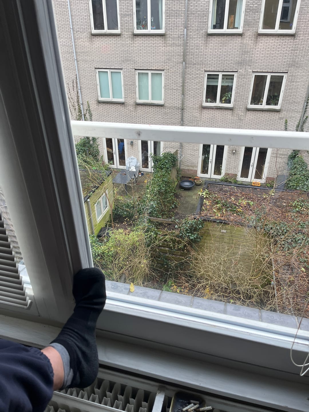 Customer photo review of Baresocks 2.0