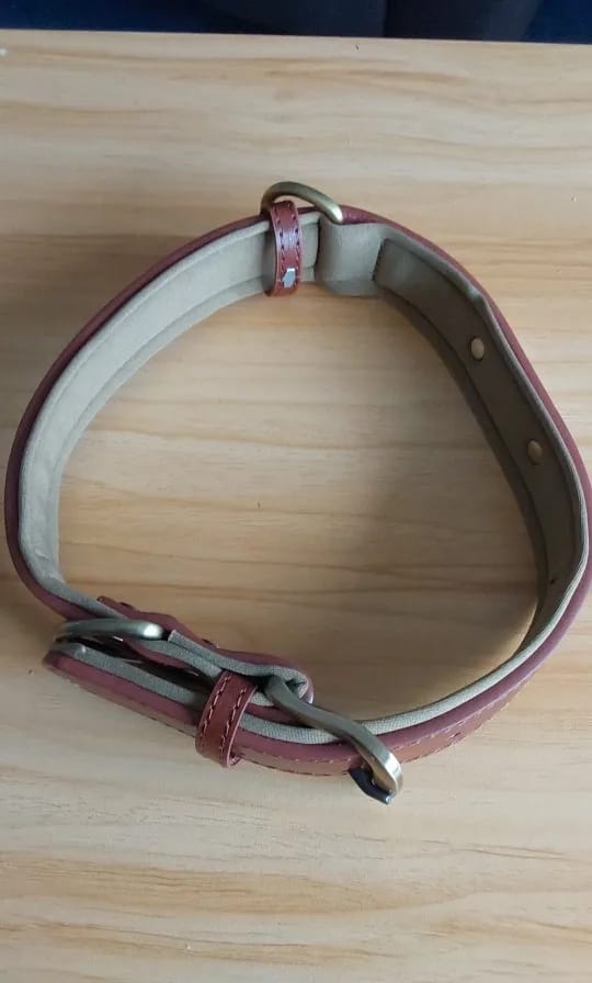 Customer photo review of Soft Padded Custom Leather Dog Collar and Leash Set with Free Engraved Nameplate for Small, Medium, and Large Dogs
