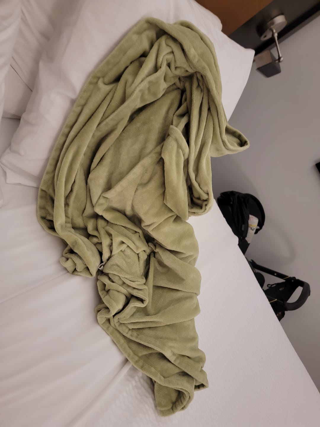 Customer photo review of BiggerBee Throw Blanket ~ Sage Green