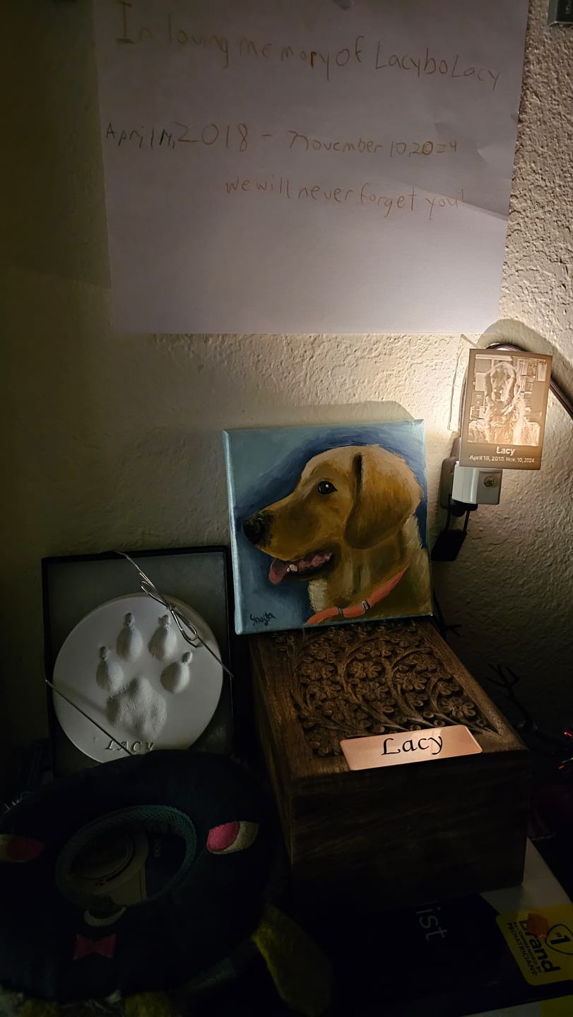 Customer photo review of Memory Frame™ Personalized Night Light
