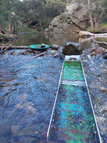 Customer photo review of 12 inch Modular Gold sluice