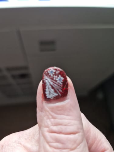 Customer photo review of Bright Future Dipping Powder