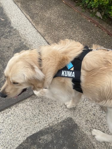 Customer photo review of Walk Essentials