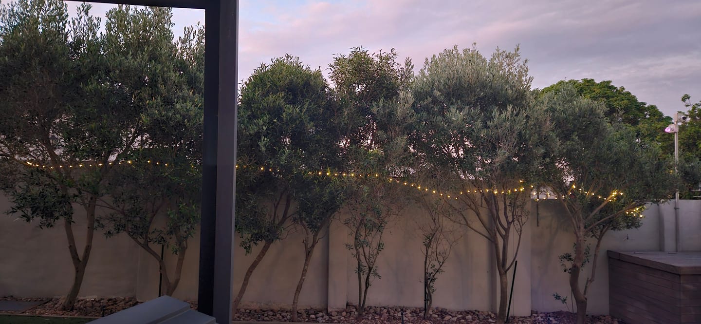 Customer photo review of Copper Wire Solar Fairy Lights