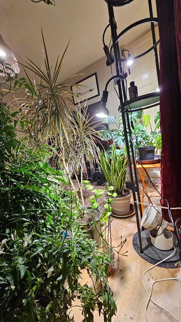Customer photo review of Stelo Gooseneck Clip-On Bulb Holder