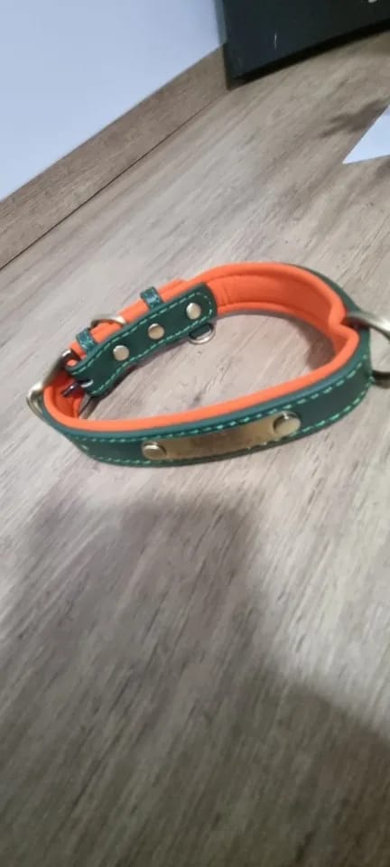 Customer photo review of Soft Padded Custom Leather Dog Collar and Leash Set with Free Engraved Nameplate for Small, Medium, and Large Dogs