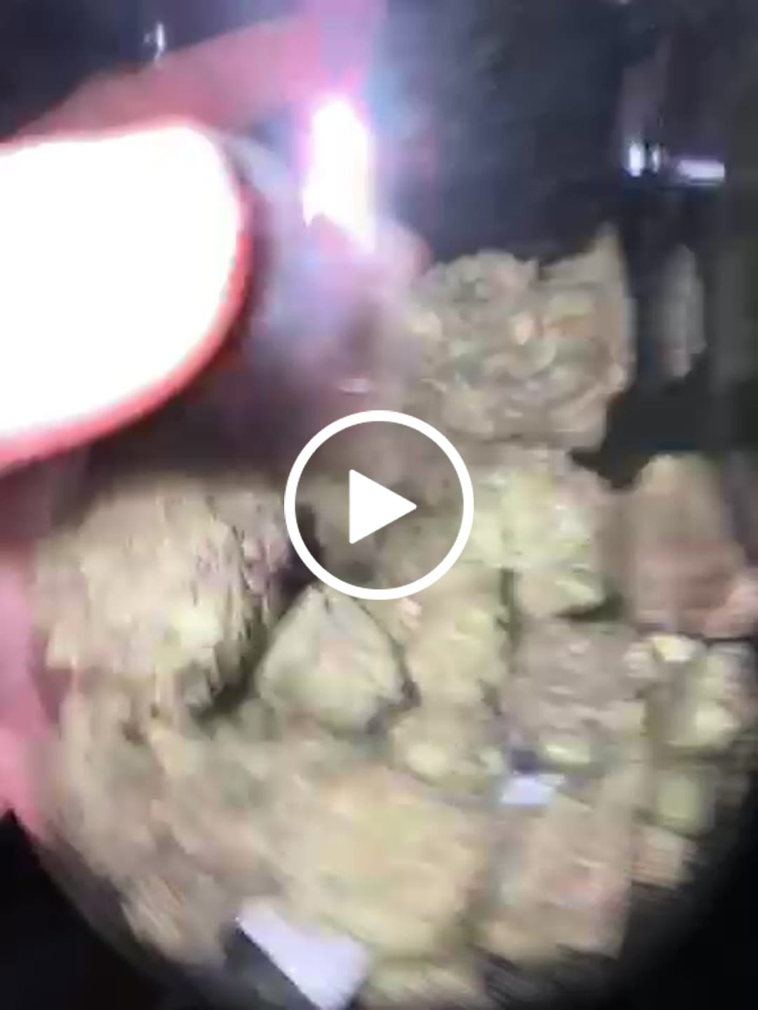 Customer video review of Snowing Candy IceFlash -THCa Flower