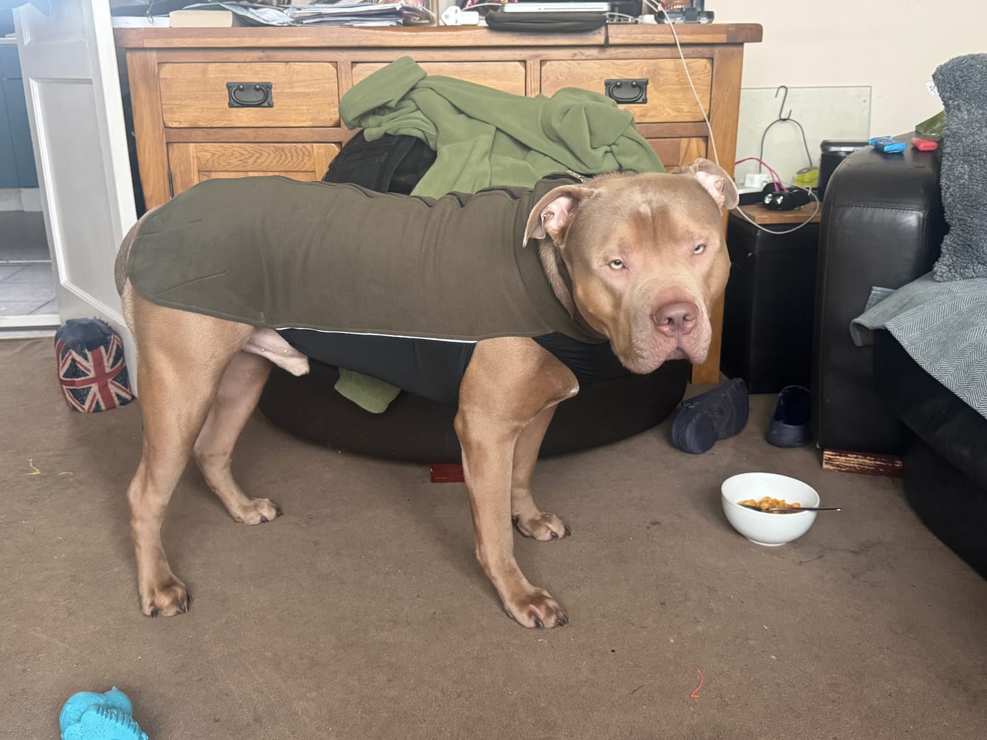 Customer photo review of Dog Fleece With Zip - Khaki