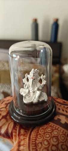 Customer photo review of Silver Lambodar Idol