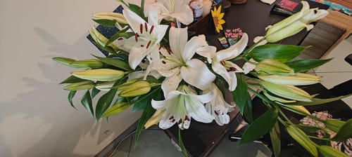 Customer photo review of Oriental Lily