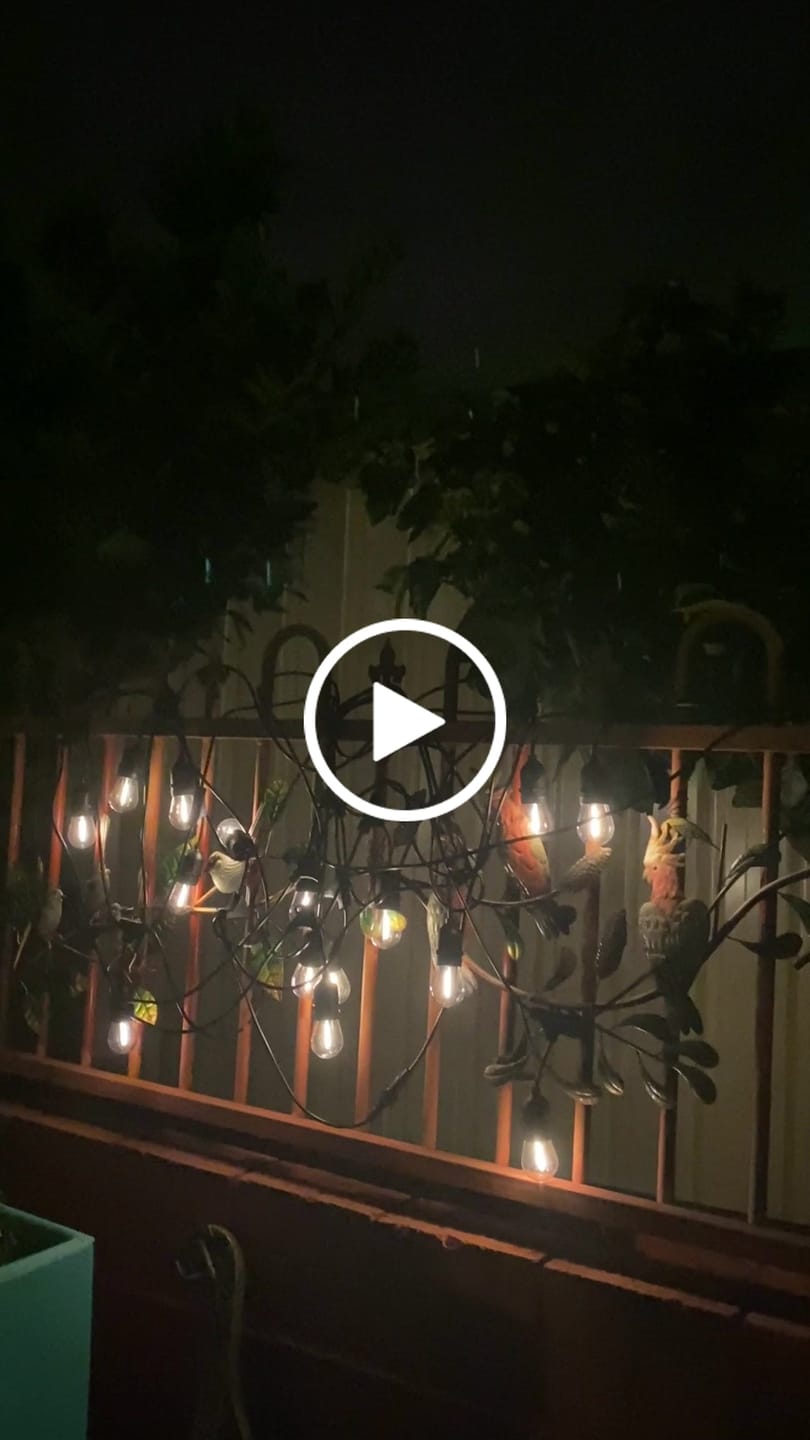 Customer video review of Festoon Solar Lights (Series 2)