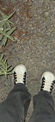 Customer photo review of Zapatilla A1. Animal Print