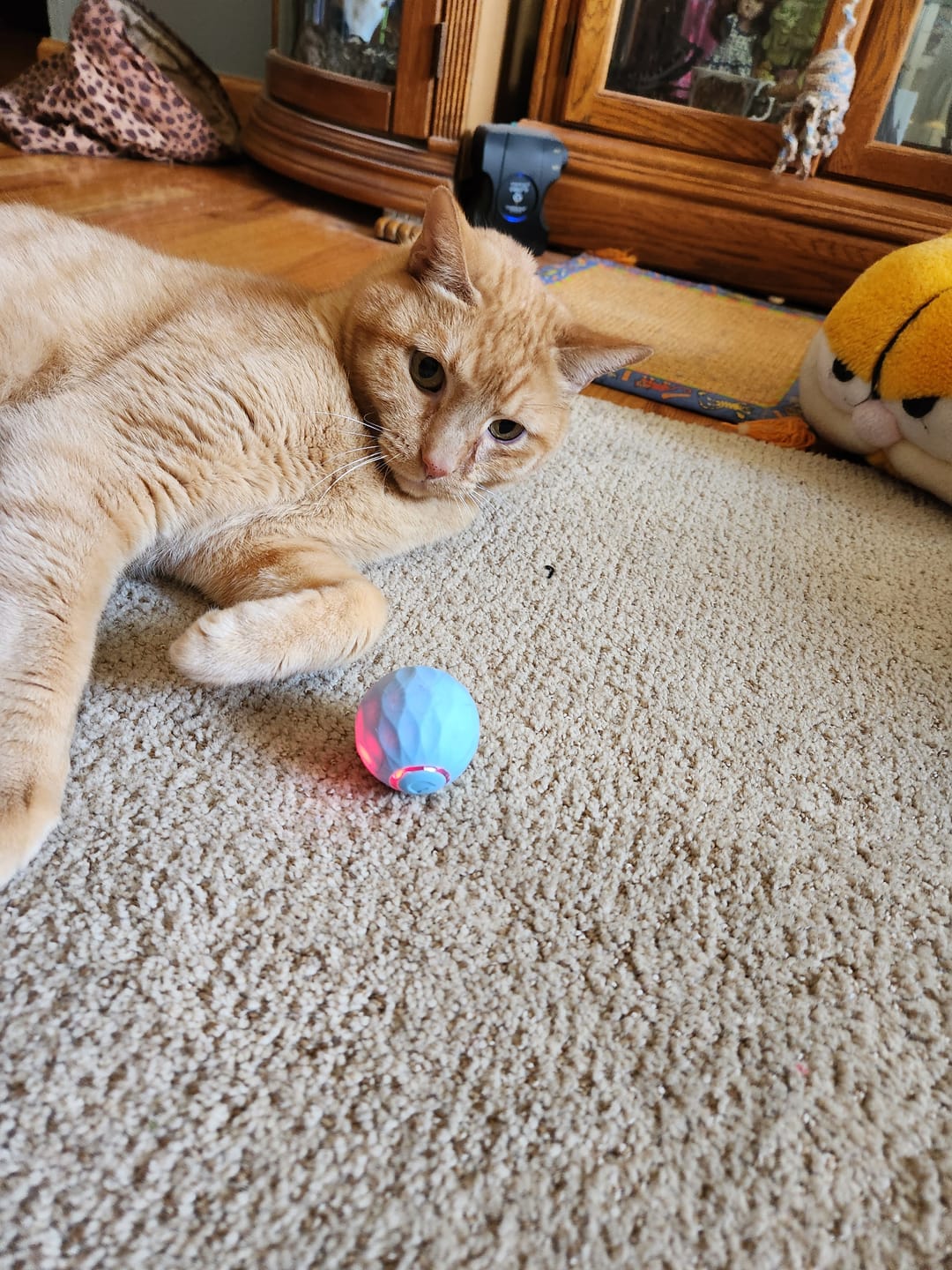 Customer photo review of POWER BALL 2.0