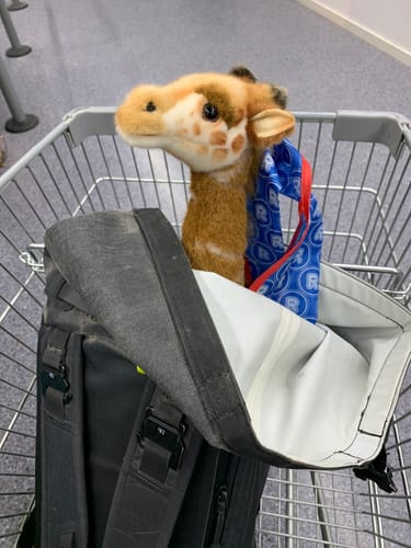 Customer photo review of Giraffe Plush - 50 cm by Hansa Creation - Coming 01.11.24