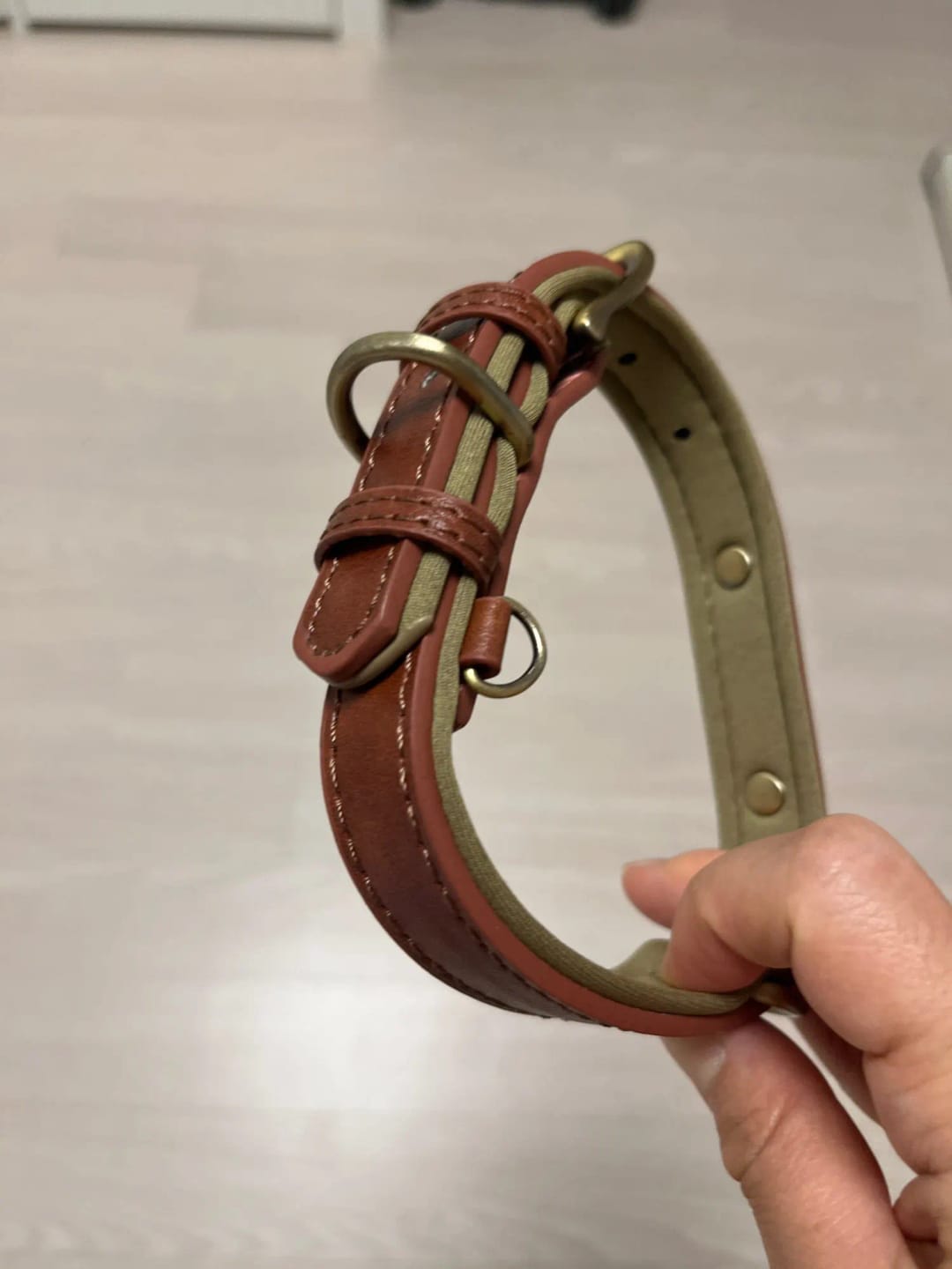 Customer photo review of Soft Padded Custom Leather Dog Collar and Leash Set with Free Engraved Nameplate for Small, Medium, and Large Dogs