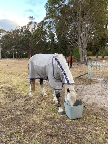 Customer photo review of Amigo Airflow