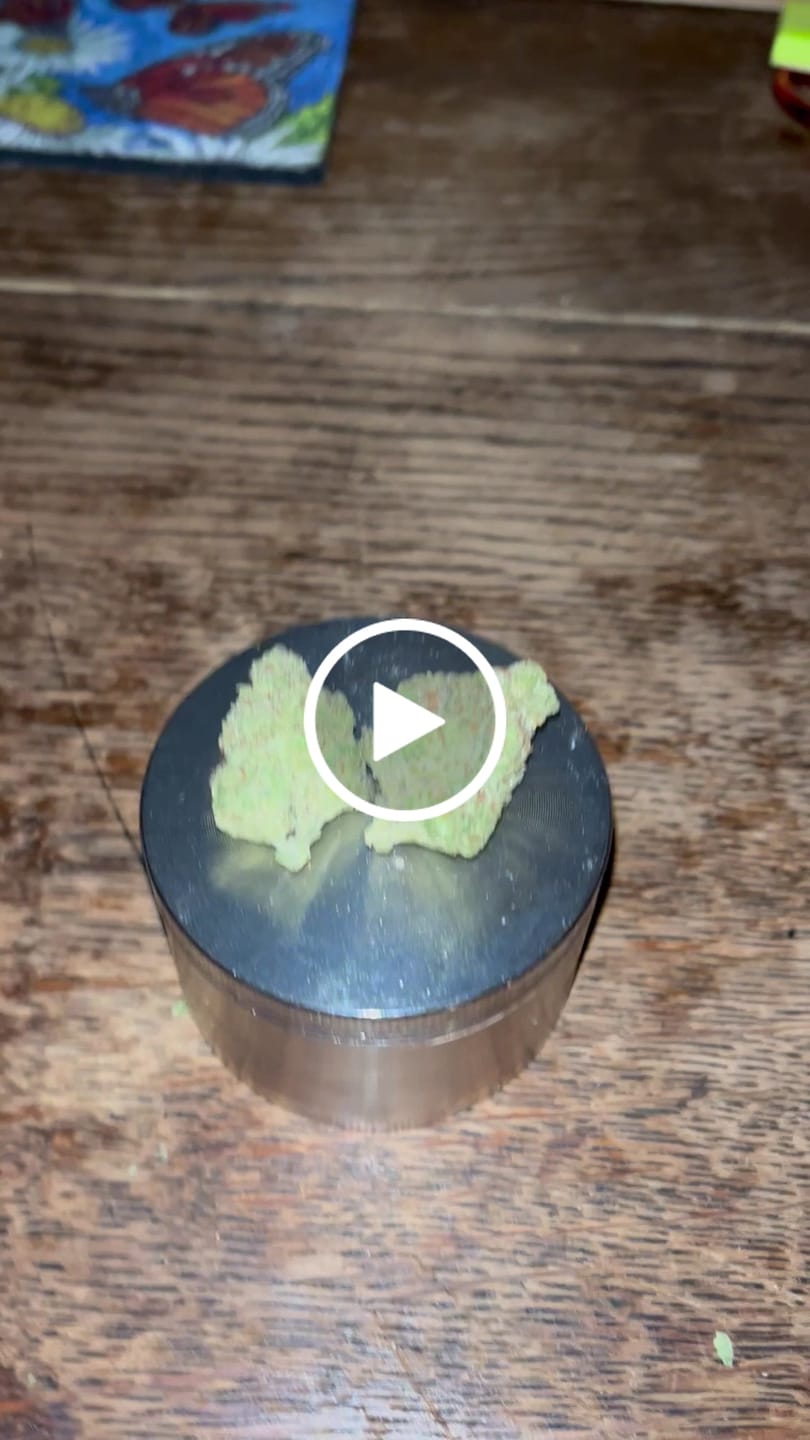 Customer video review of Snowing Candy IceFlash -THCa Flower