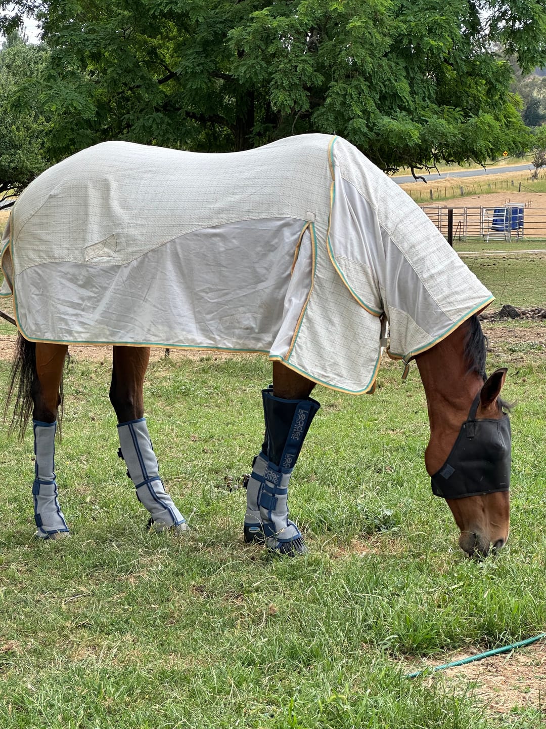 Customer photo review of LE Defender Fly Boots