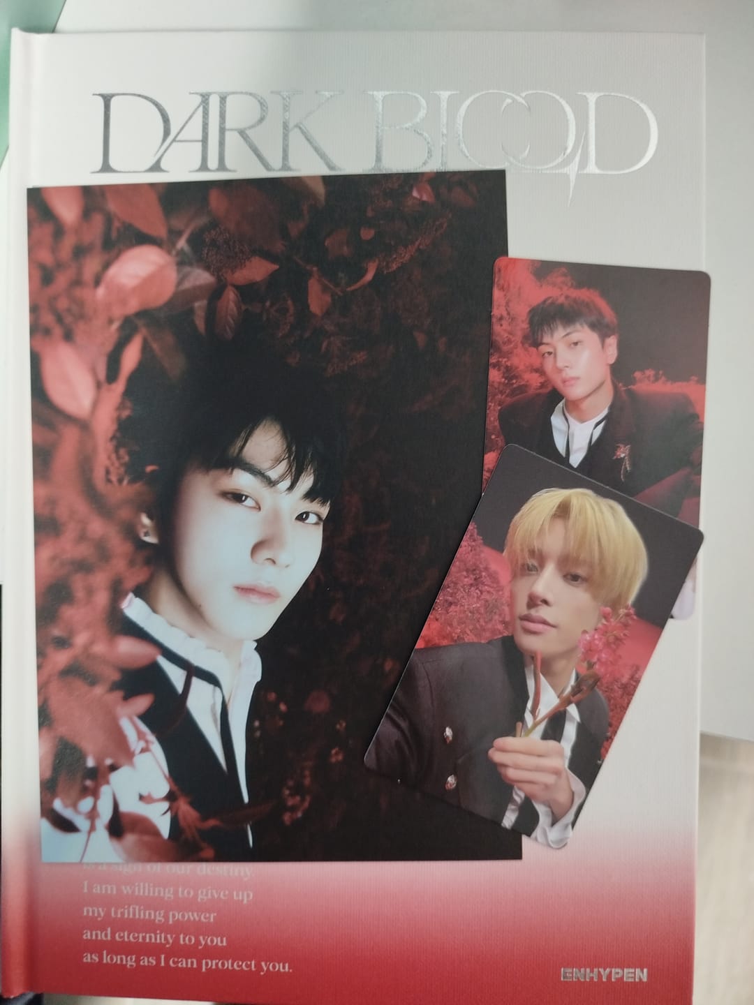 Customer photo review of ENHYPEN - DARK BLOOD ALBUM