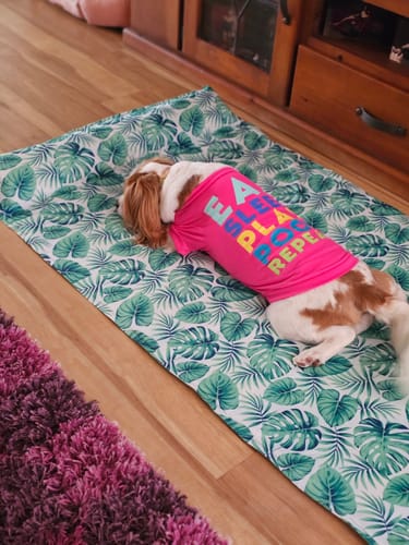 Customer photo review of PaWz Dog Summer Cooling Mat