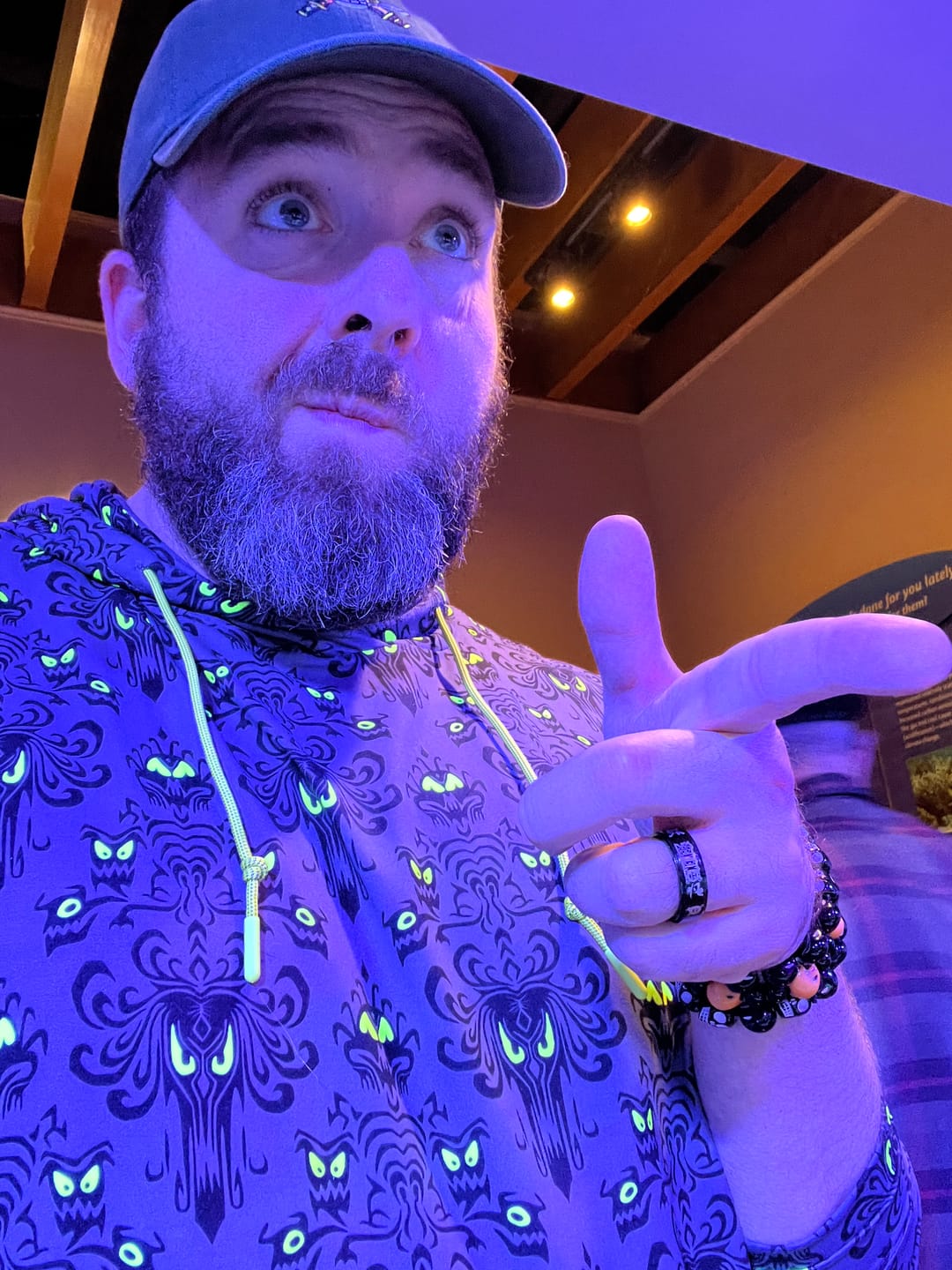 Customer photo review of Disney’s Haunted Mansion "Wall Creeps" – Performance Hoodie