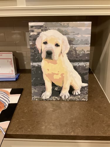 Customer photo review of Paint Your Pet by Numbers Featuring Custom Paint by Numbers Kit