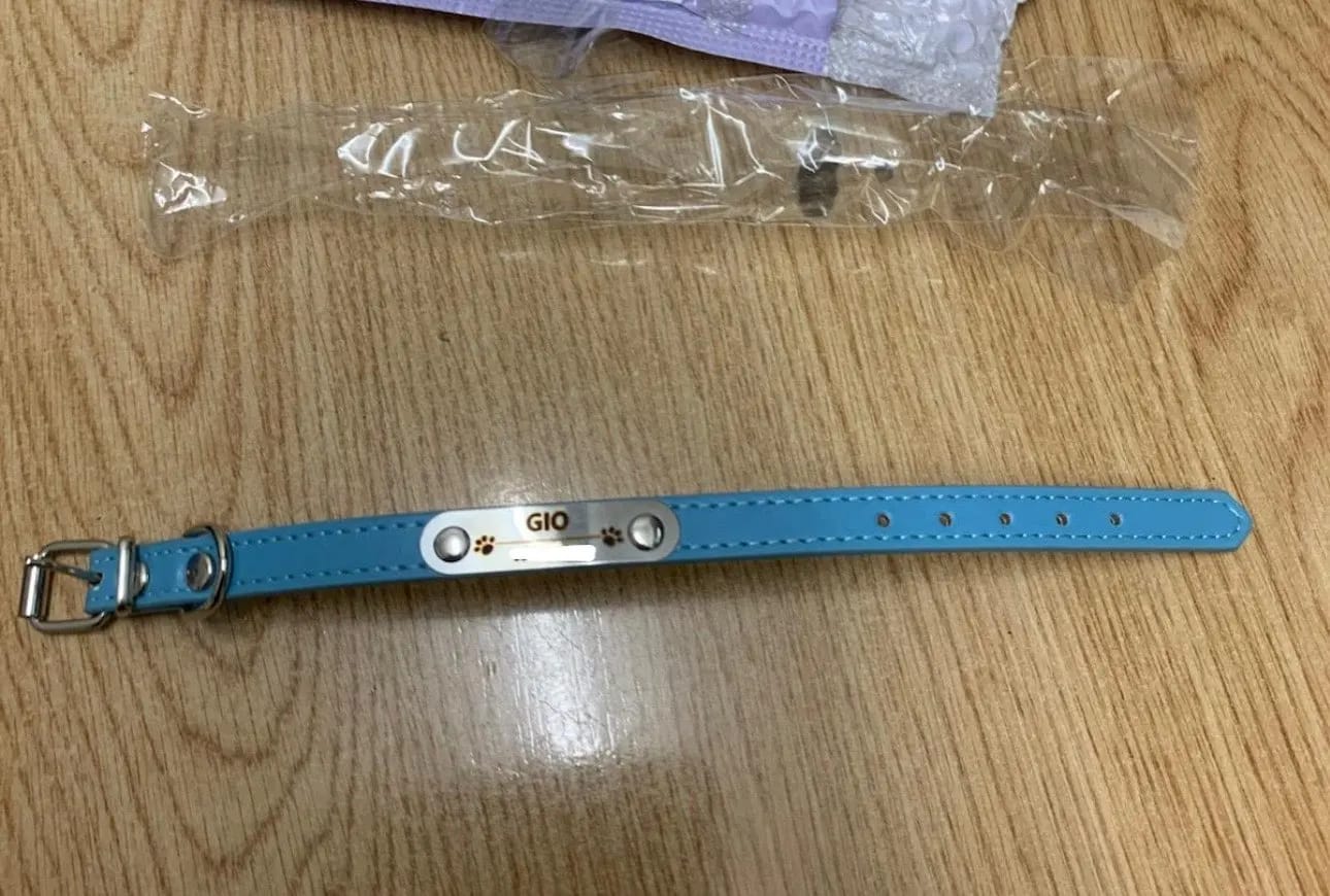 Customer photo review of Personalized PU Leather Pet Collar with Carved Name ID and Anti-Lost Feature - For Dogs and Cats