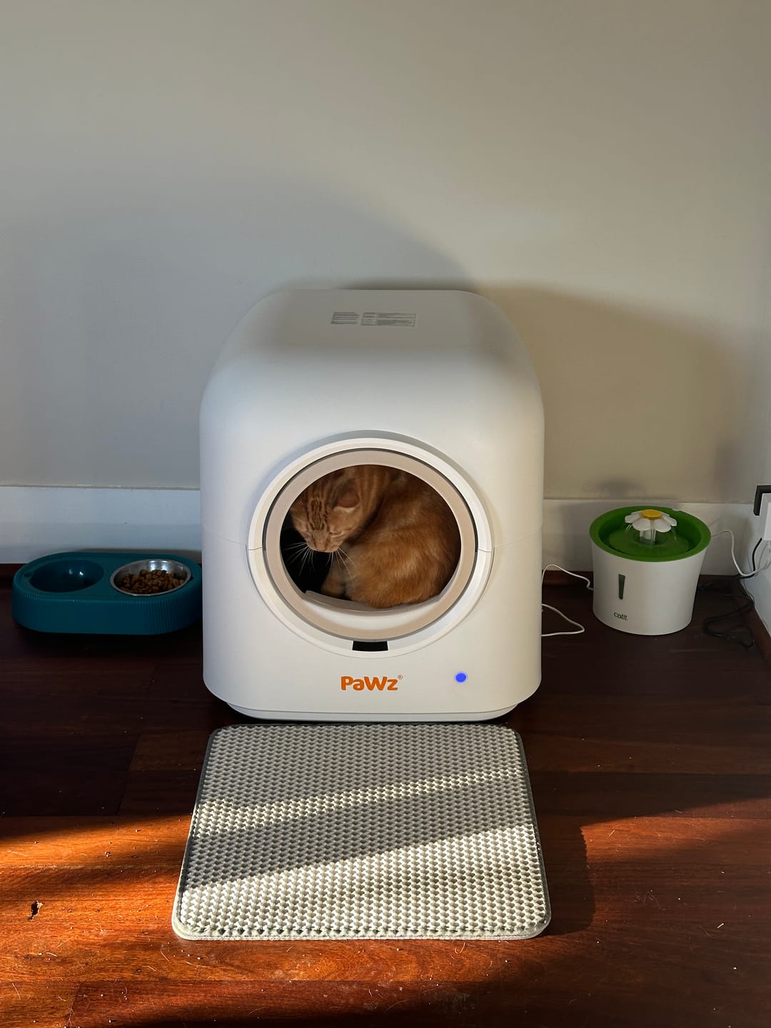 Customer photo review of Pawz Smart Cat Litter Box Automatic Self Cleaning with App Remote Control