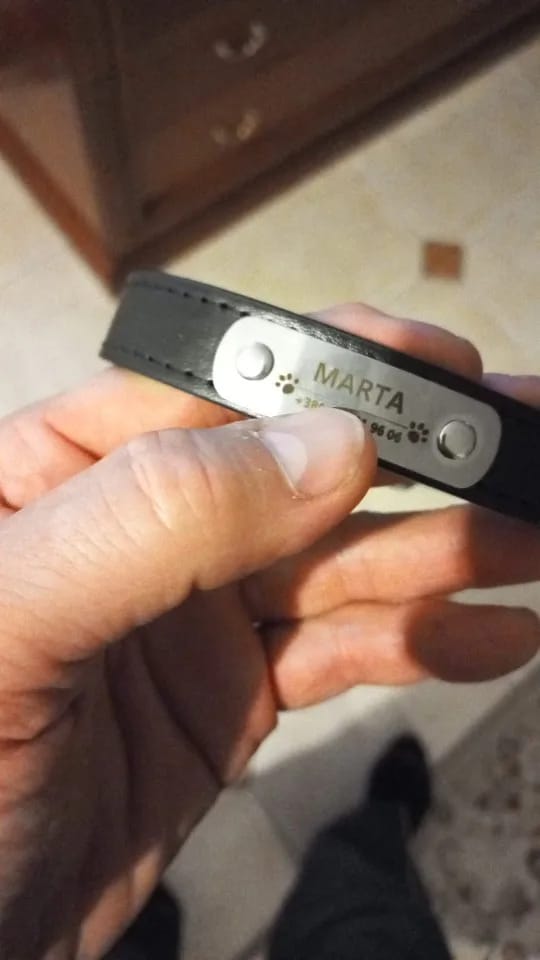 Customer photo review of Personalized PU Leather Pet Collar with Carved Name ID and Anti-Lost Feature - For Dogs and Cats