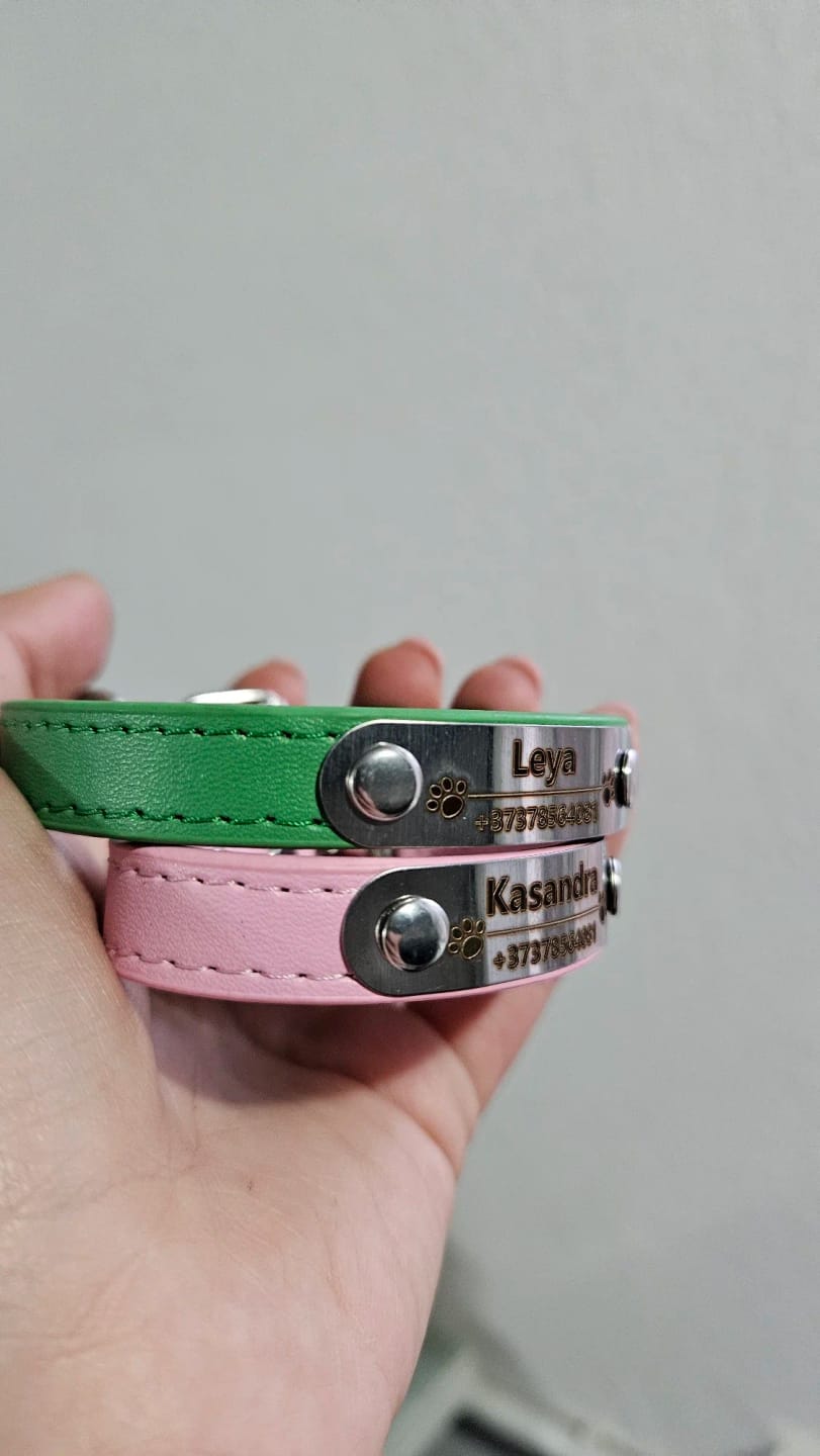 Customer photo review of Personalized PU Leather Pet Collar with Carved Name ID and Anti-Lost Feature - For Dogs and Cats