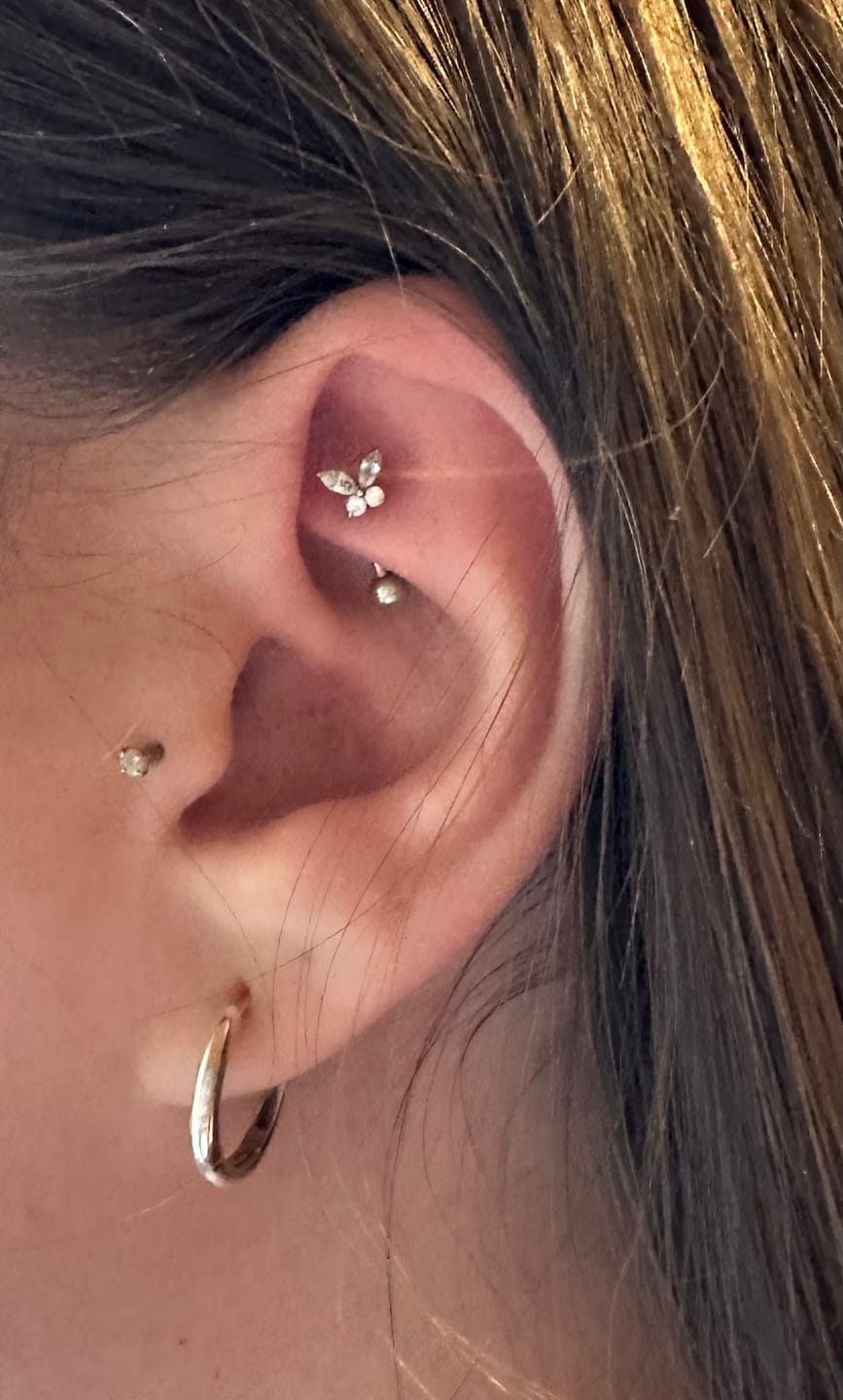 Customer photo review of Butterfly Rook Piercing | Chirurgenstahl