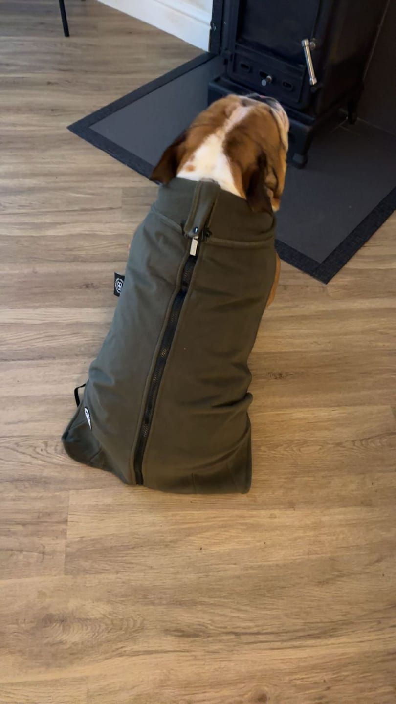 Customer photo review of Dog Fleece With Zip - Khaki