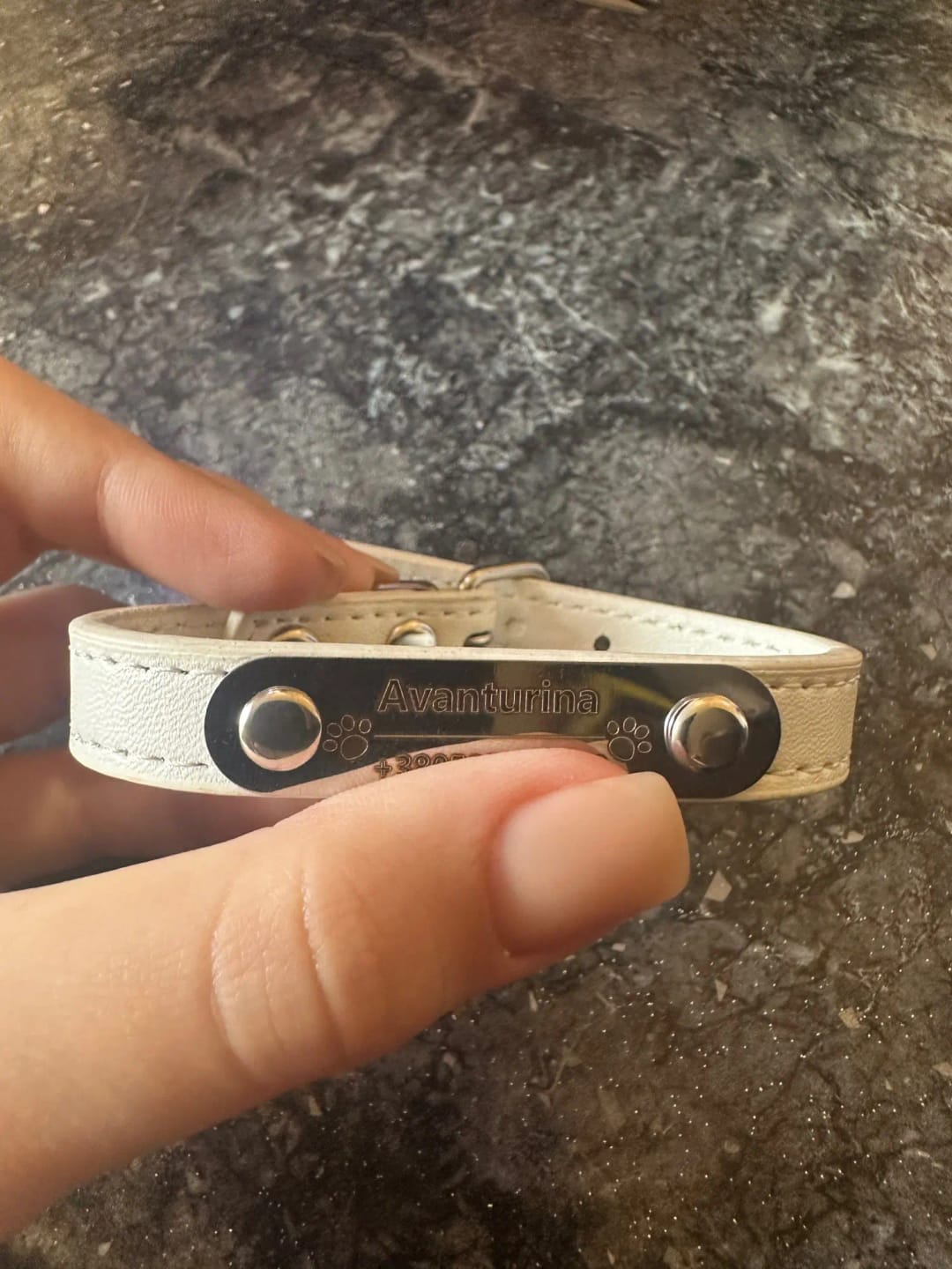 Customer photo review of Personalized PU Leather Pet Collar with Carved Name ID and Anti-Lost Feature - For Dogs and Cats