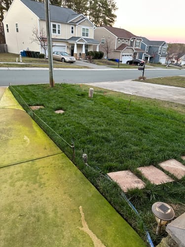 Customer photo review of GCI Turf 30-0-0 G