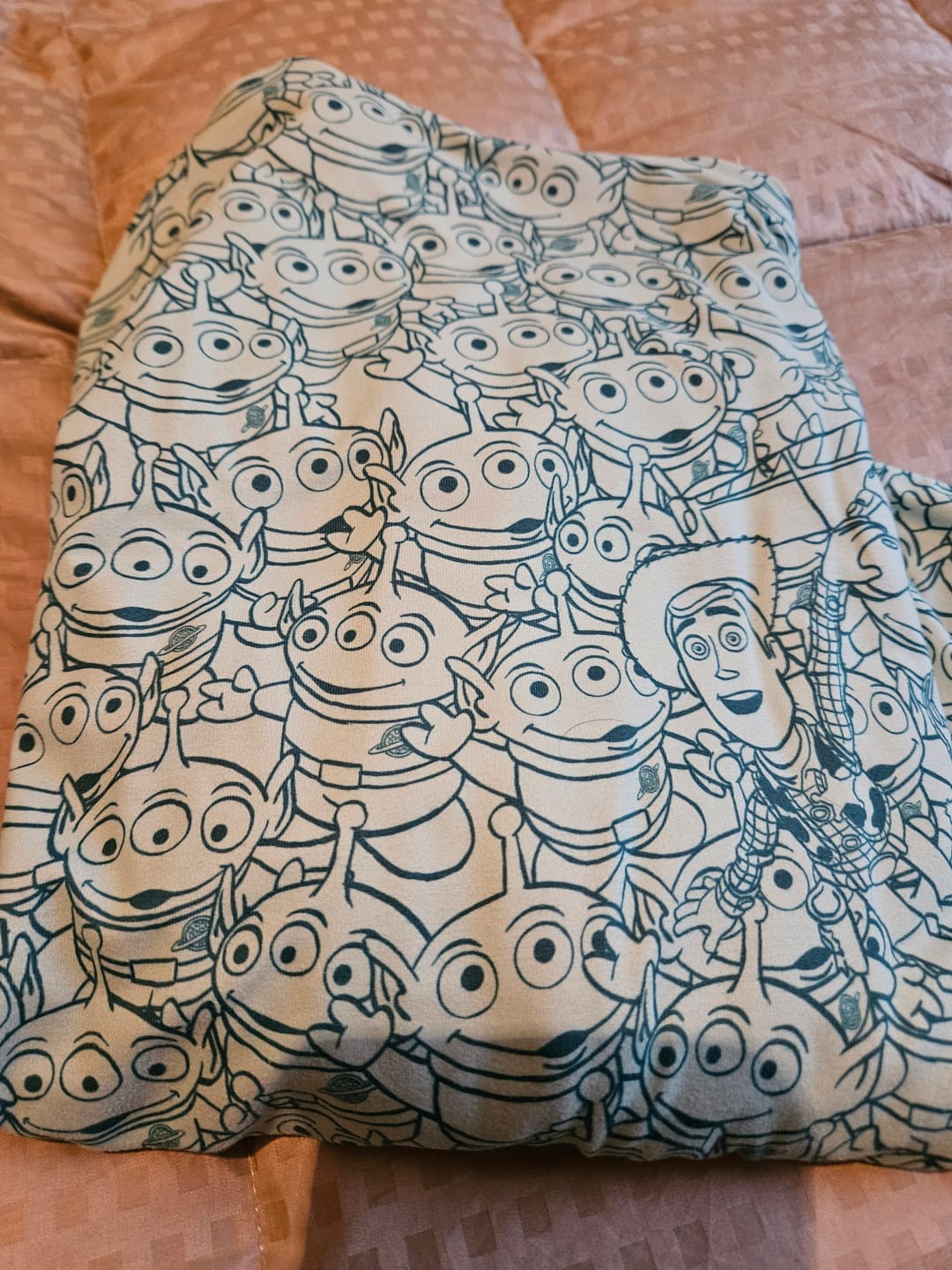 Customer photo review of Disney and Pixar Toy Story “The Crane Escape” – Performance Hoodie
