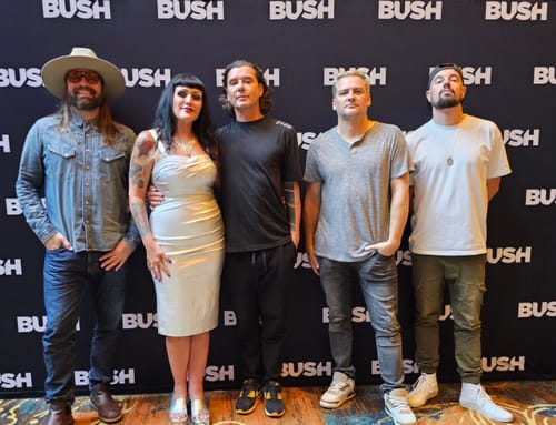 Customer photo review of Jawbreaker Wiggle Dress in Silver Laminate - Vixen by Micheline Pitt