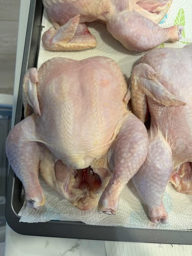 Customer photo review of Pasture Raised "Whole Chicken Bundle"
