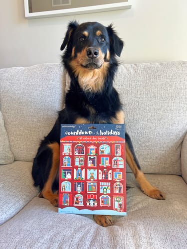 Customer photo review of Count Down to the Holidays Advent Calendar