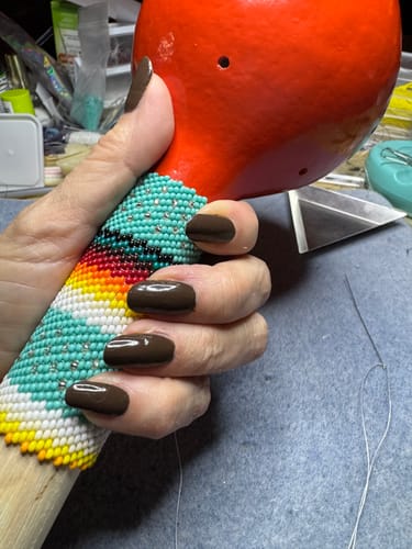 Customer photo review of Karma Color Duo