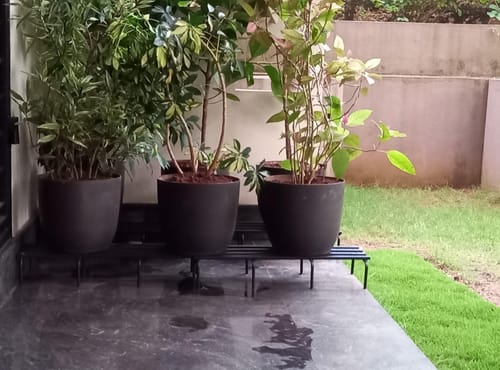 Customer photo review of United Crafts Ruged Metal Stands for Pots/Gamla